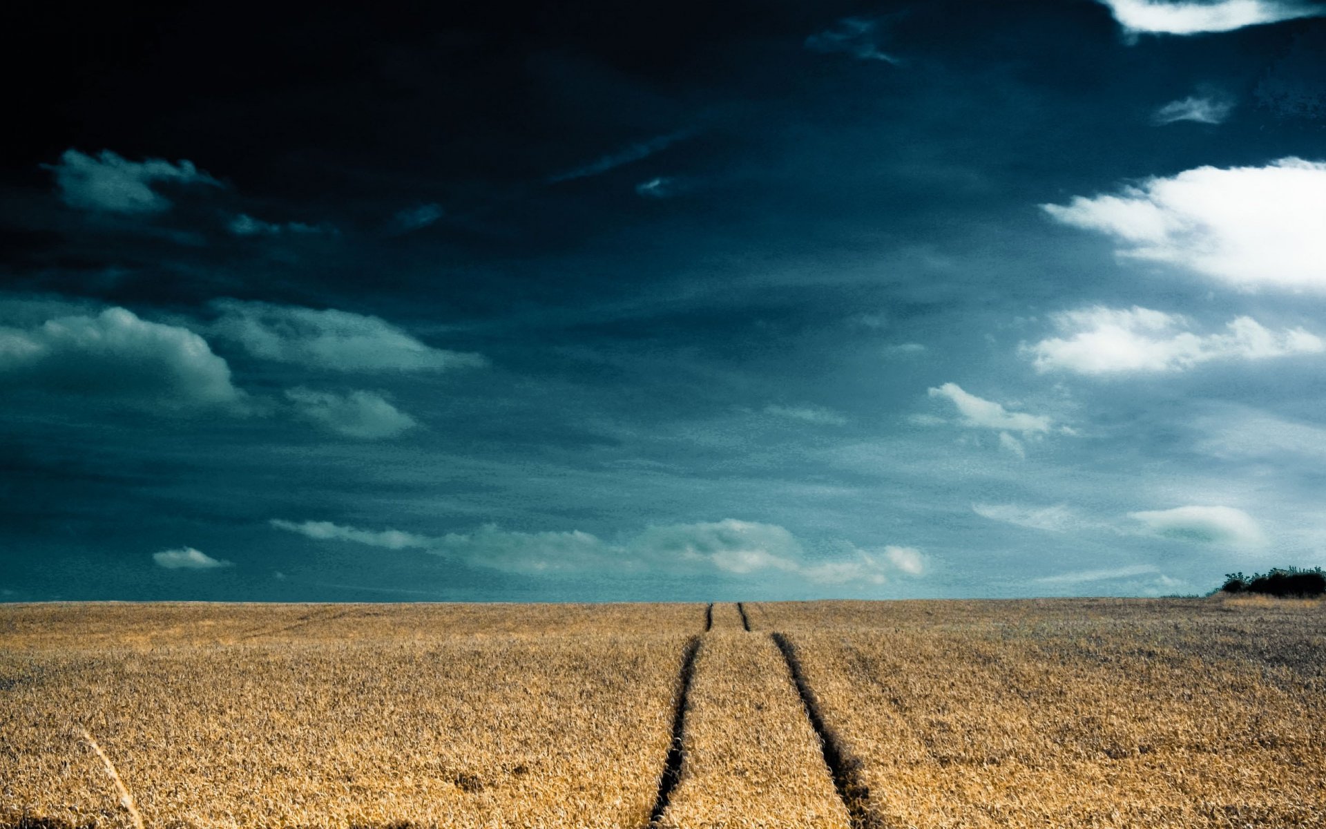 campo cielo nubes camino