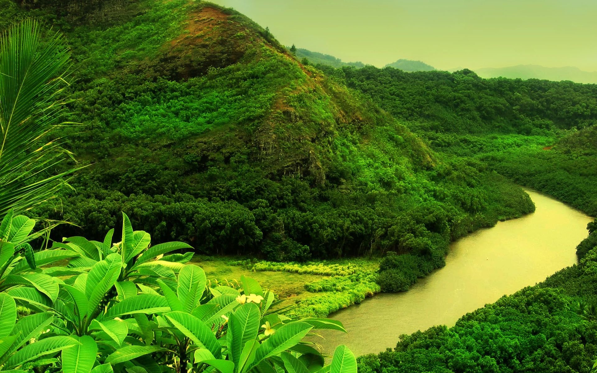 montagna verde fiume