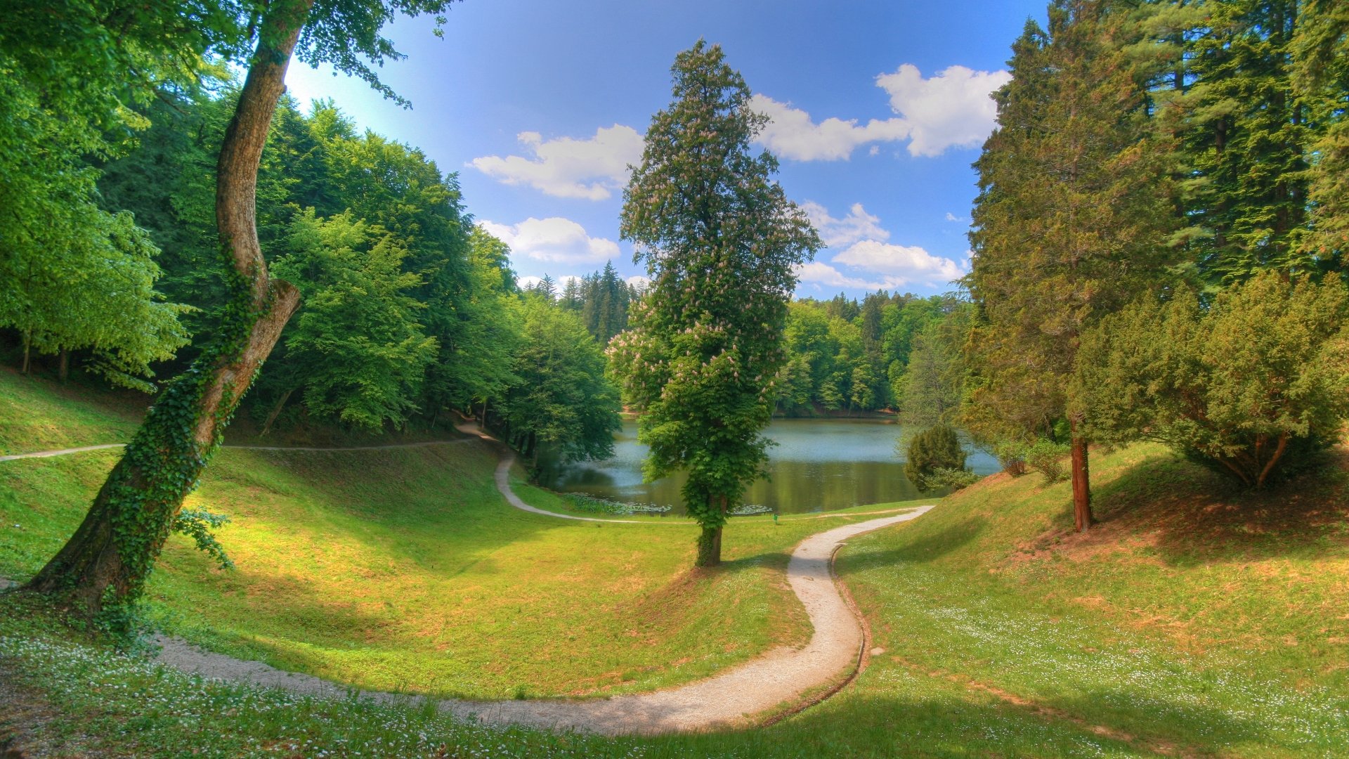 stagno alberi sentiero nuvole