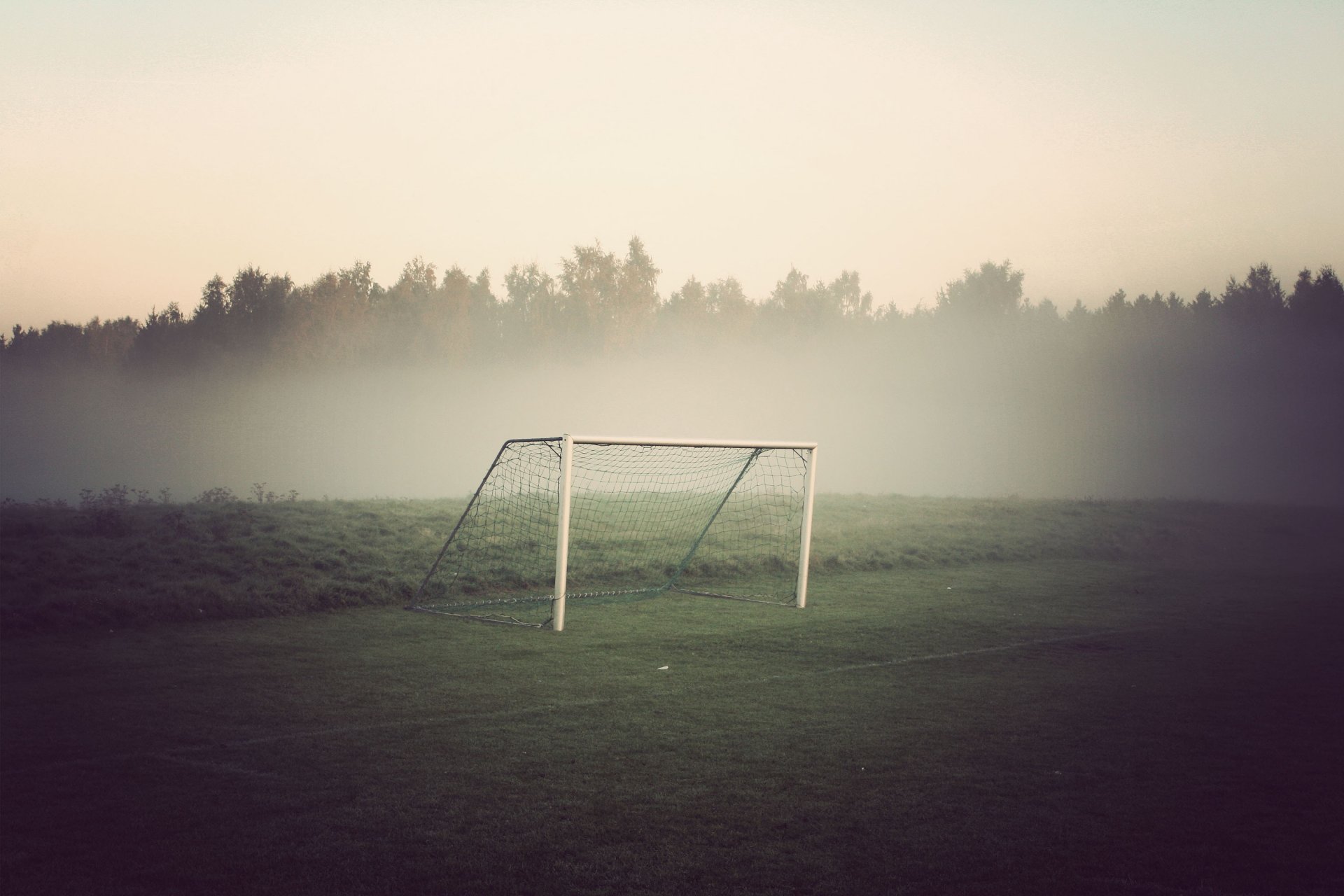 the field gates football forest fog