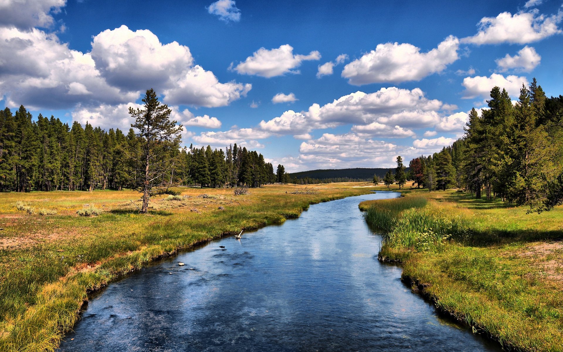 fluss wald bäume wolken himmel