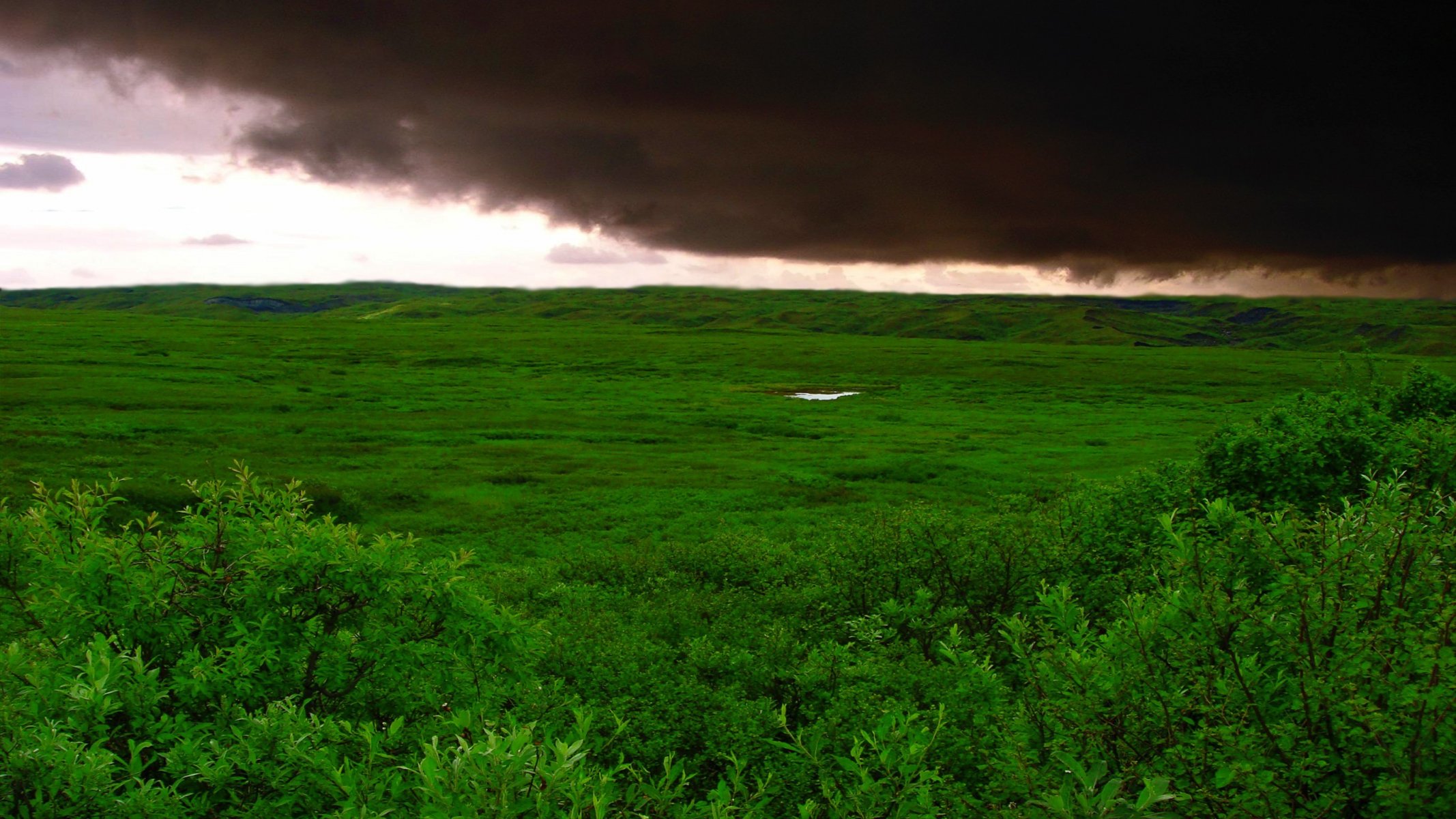 green grass clouds storm the field