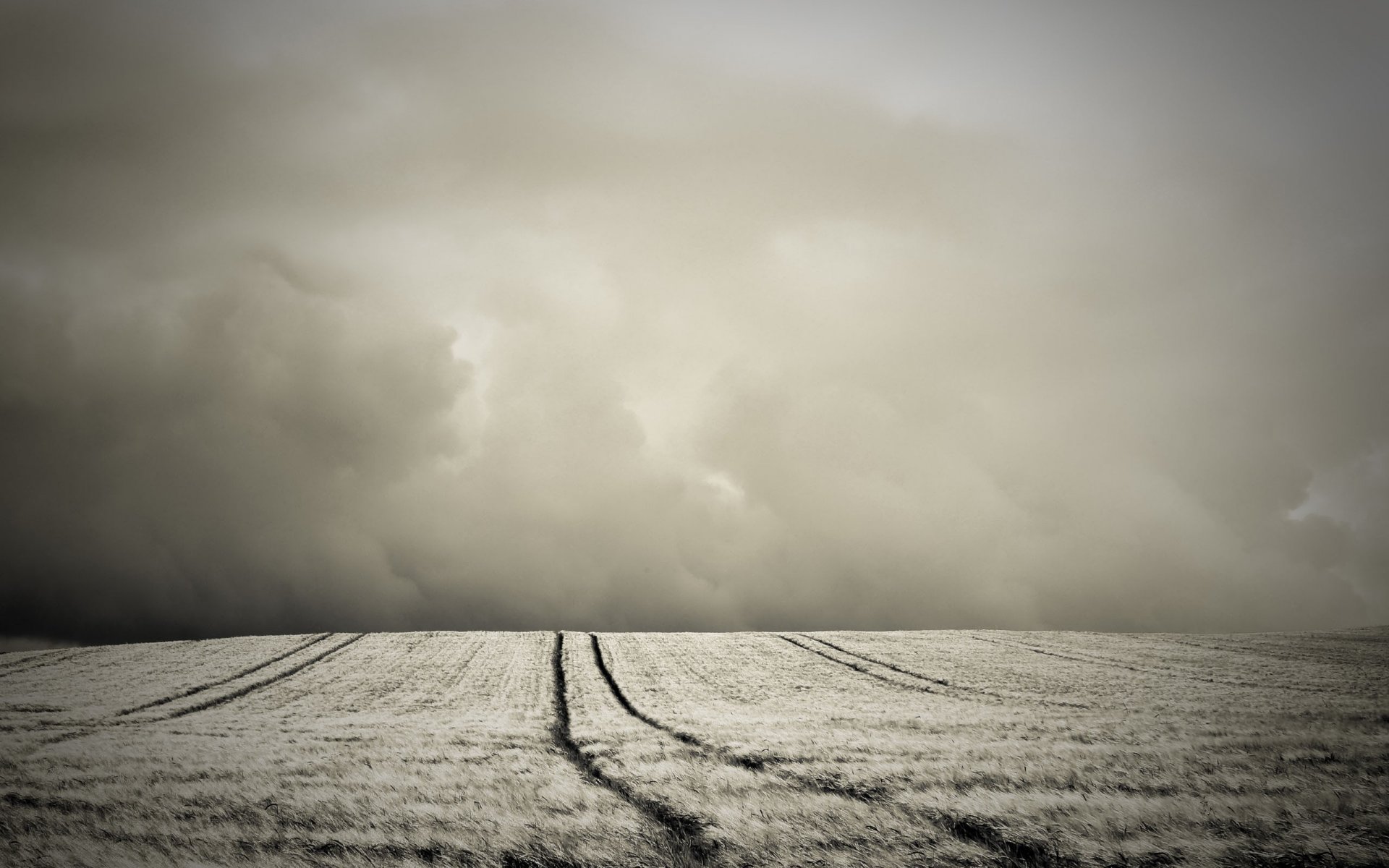 feld hügel sepia