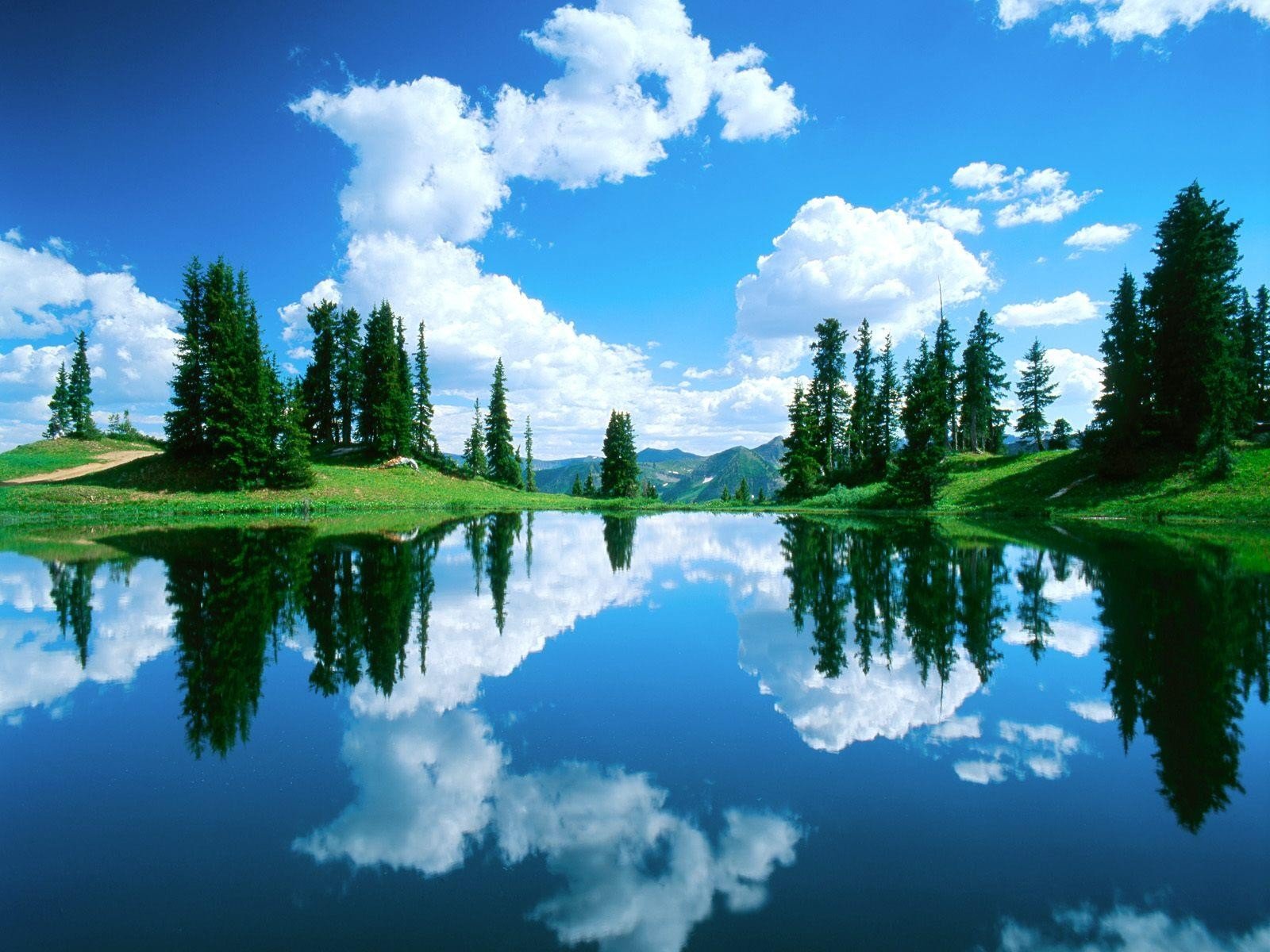 forêt eau nuages ciel