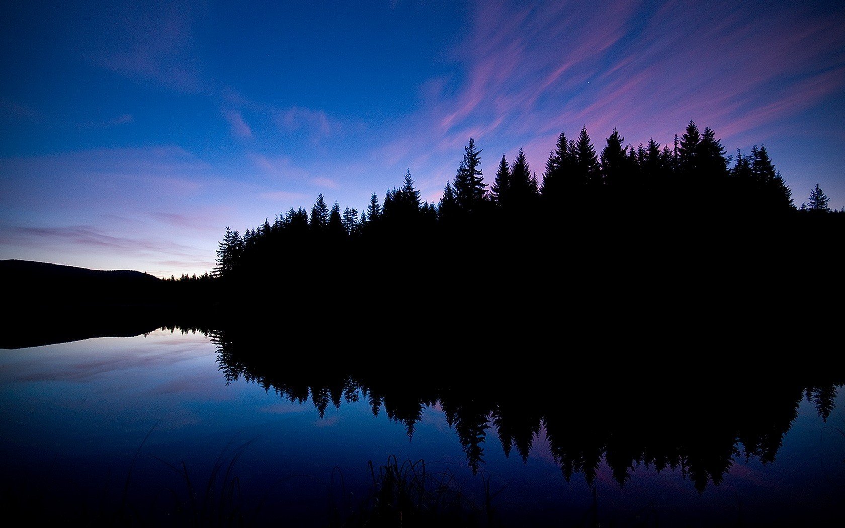 forest night lake reflection black