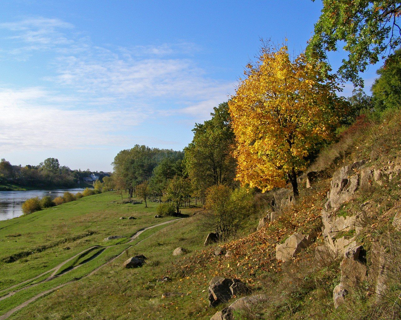 jesień drzewa brzeg