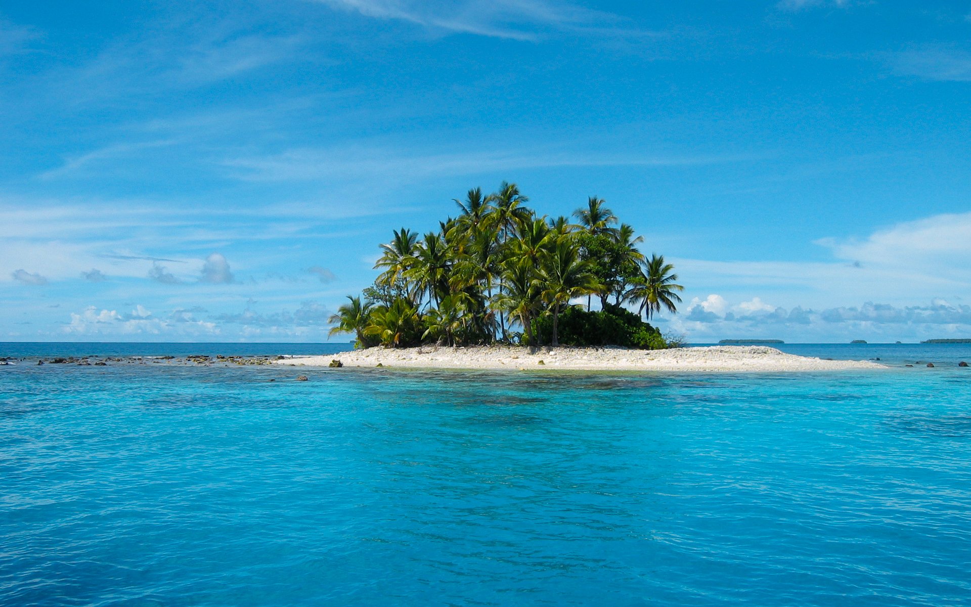 insel meer palmen tropen