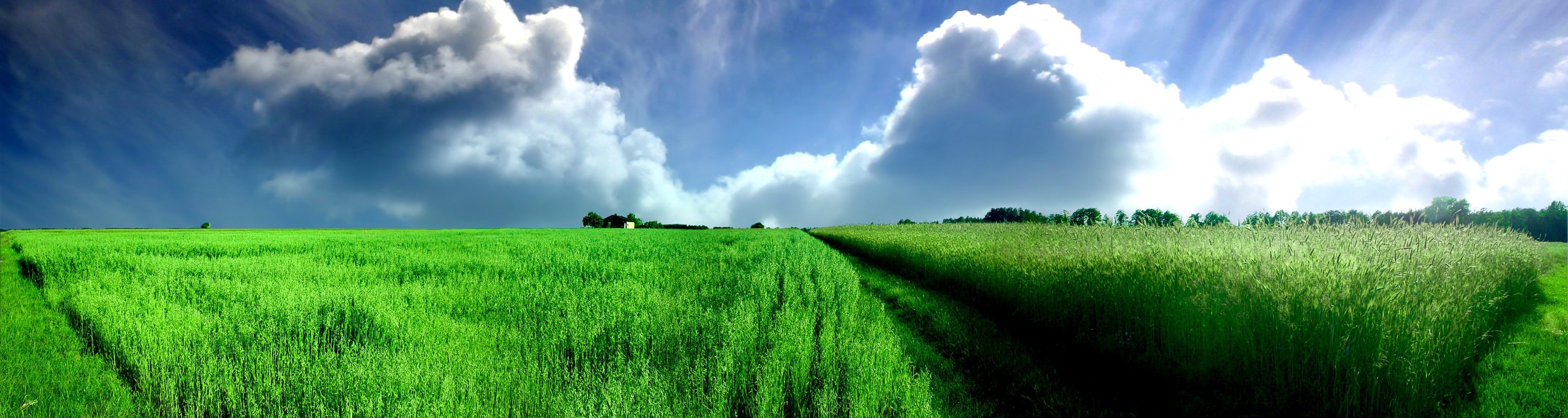 the field panorama clouds green