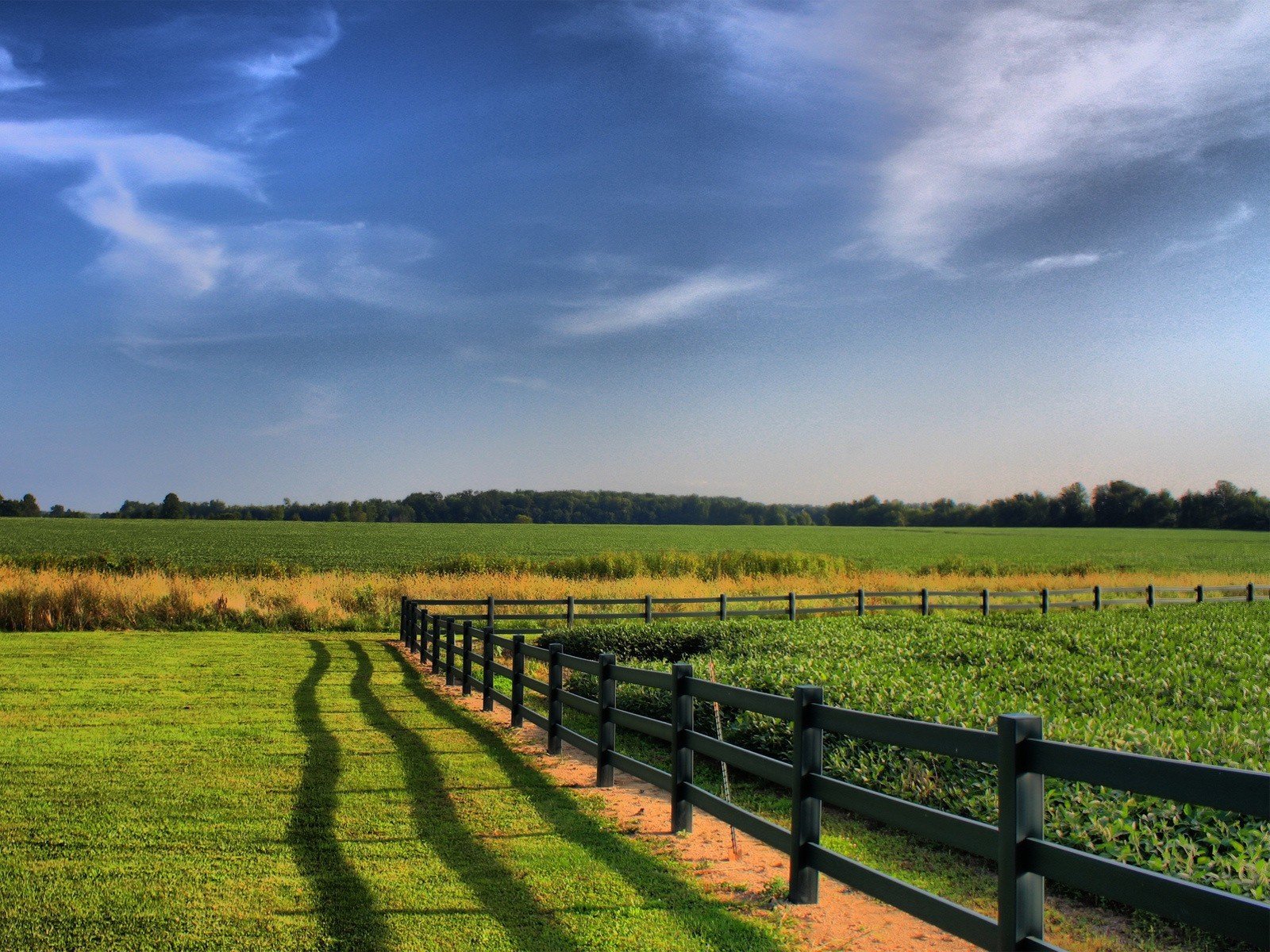 feld zaun himmel