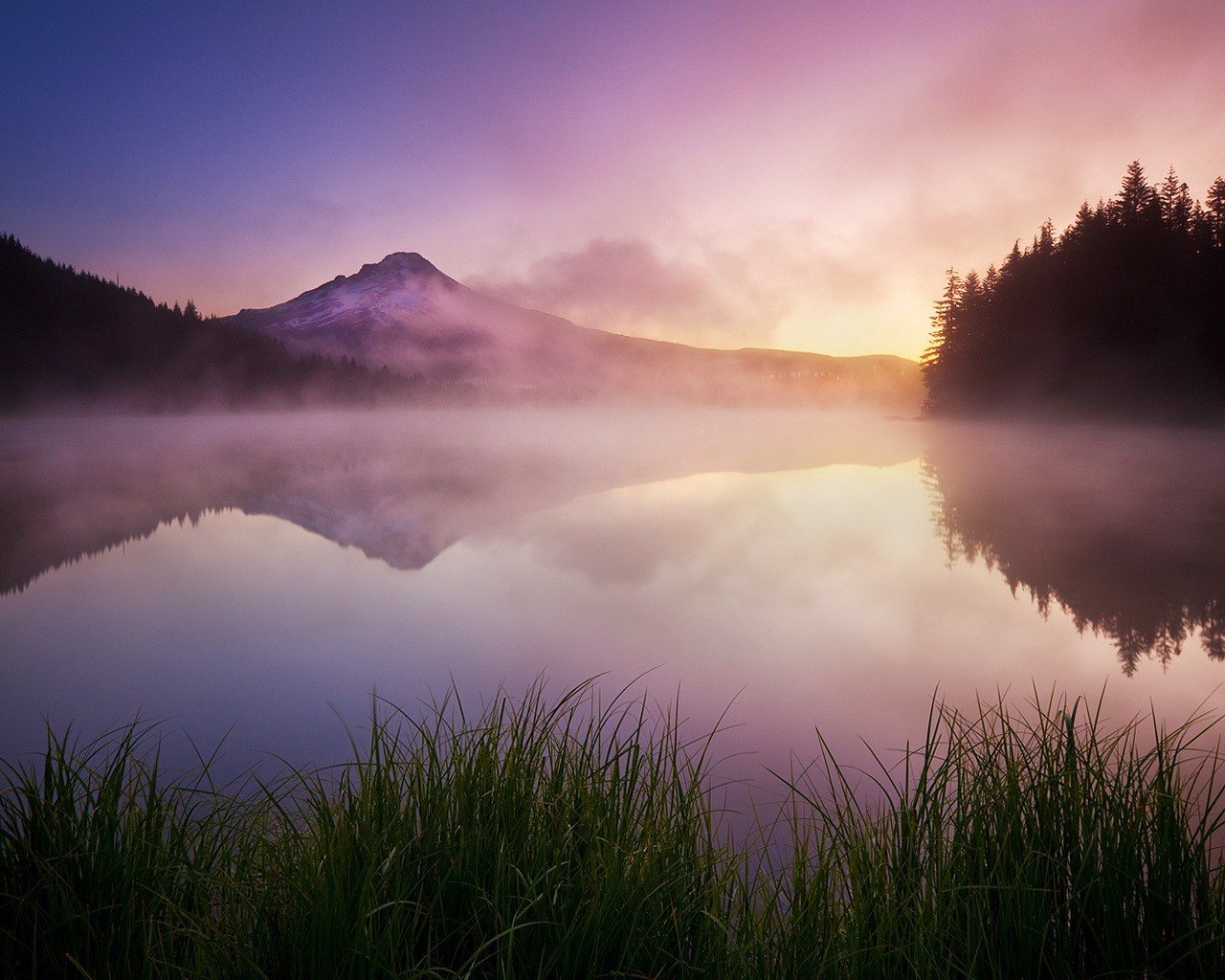 see gras nebel berge