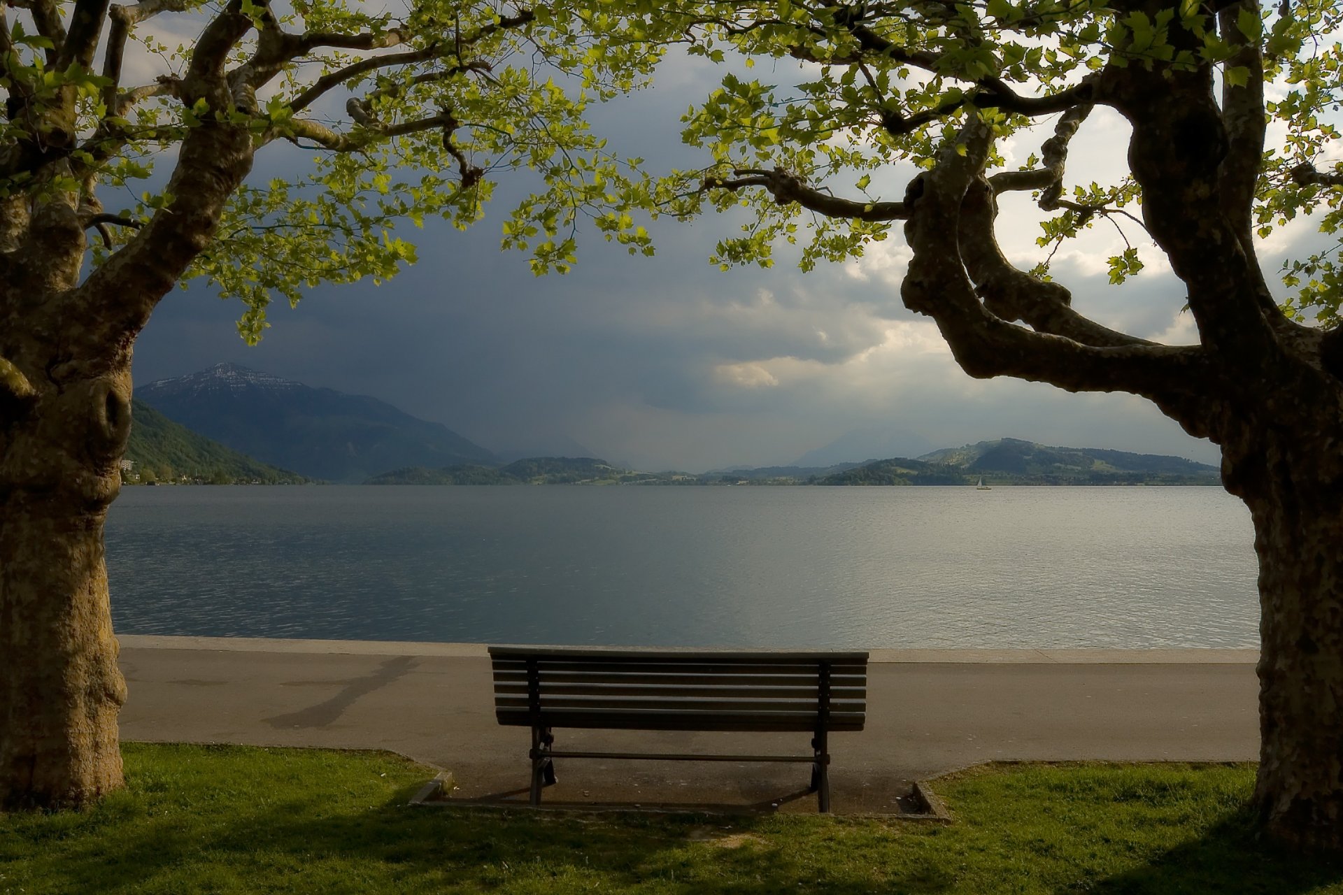 lago montañas árboles banco banco