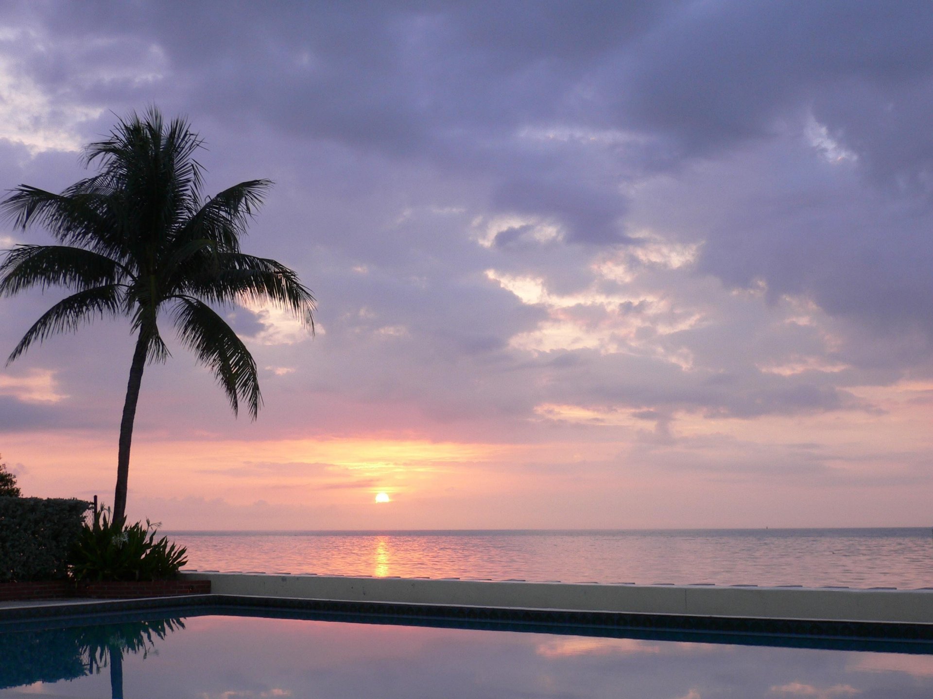 palmier soleil piscine mer nuages