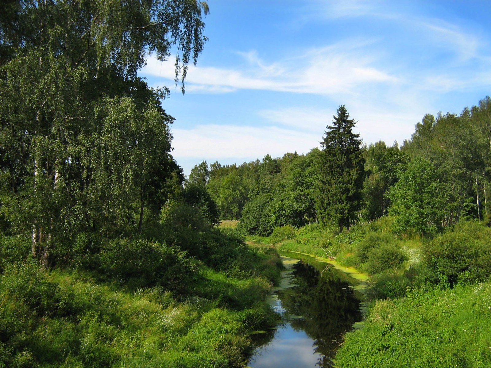 verdure ruisseau ciel