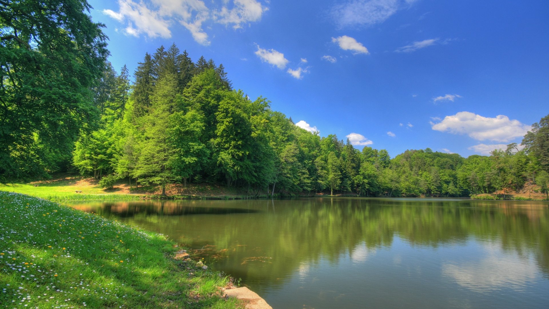 río estanque verano