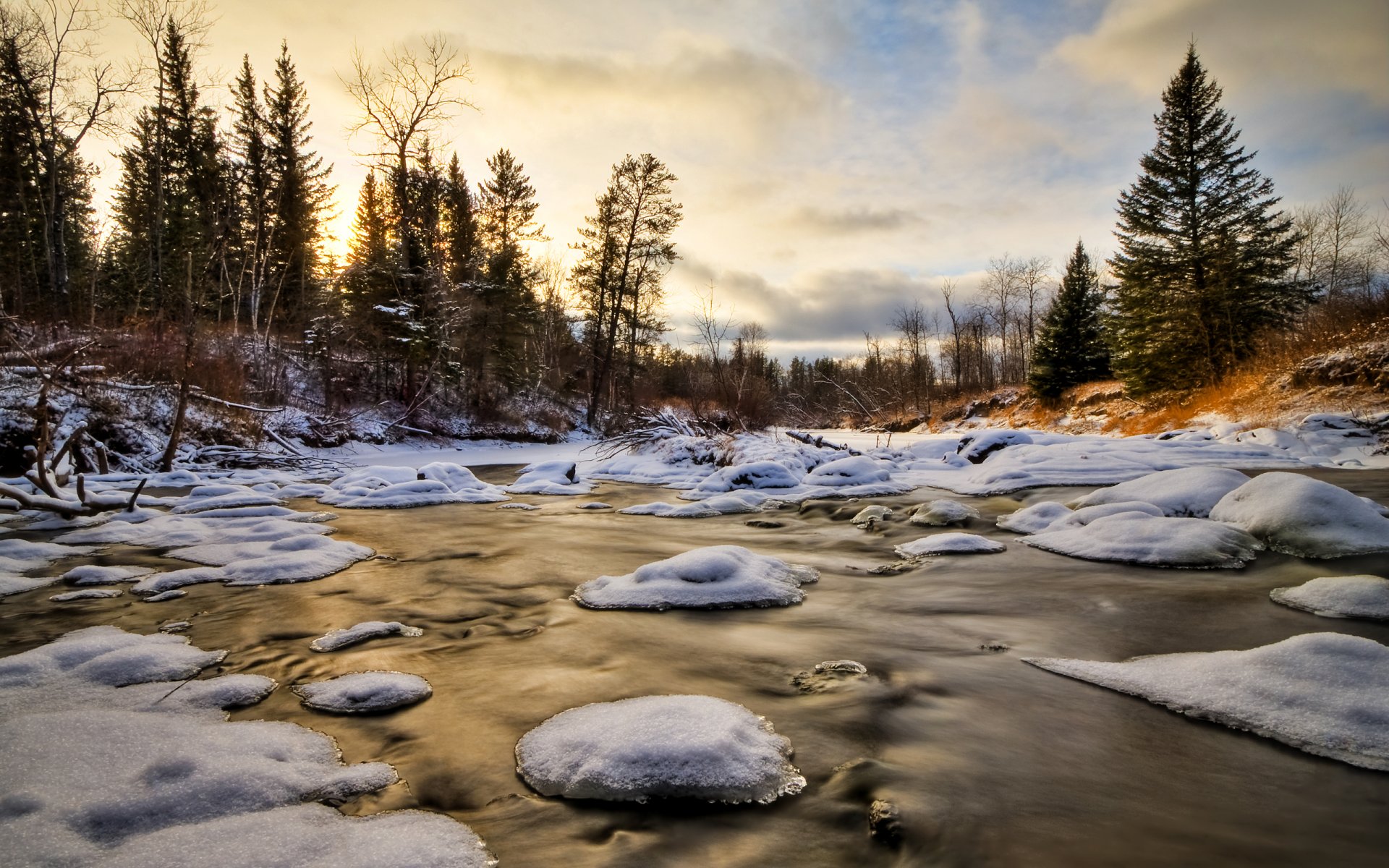 wald eis schnee bäume wasser winter