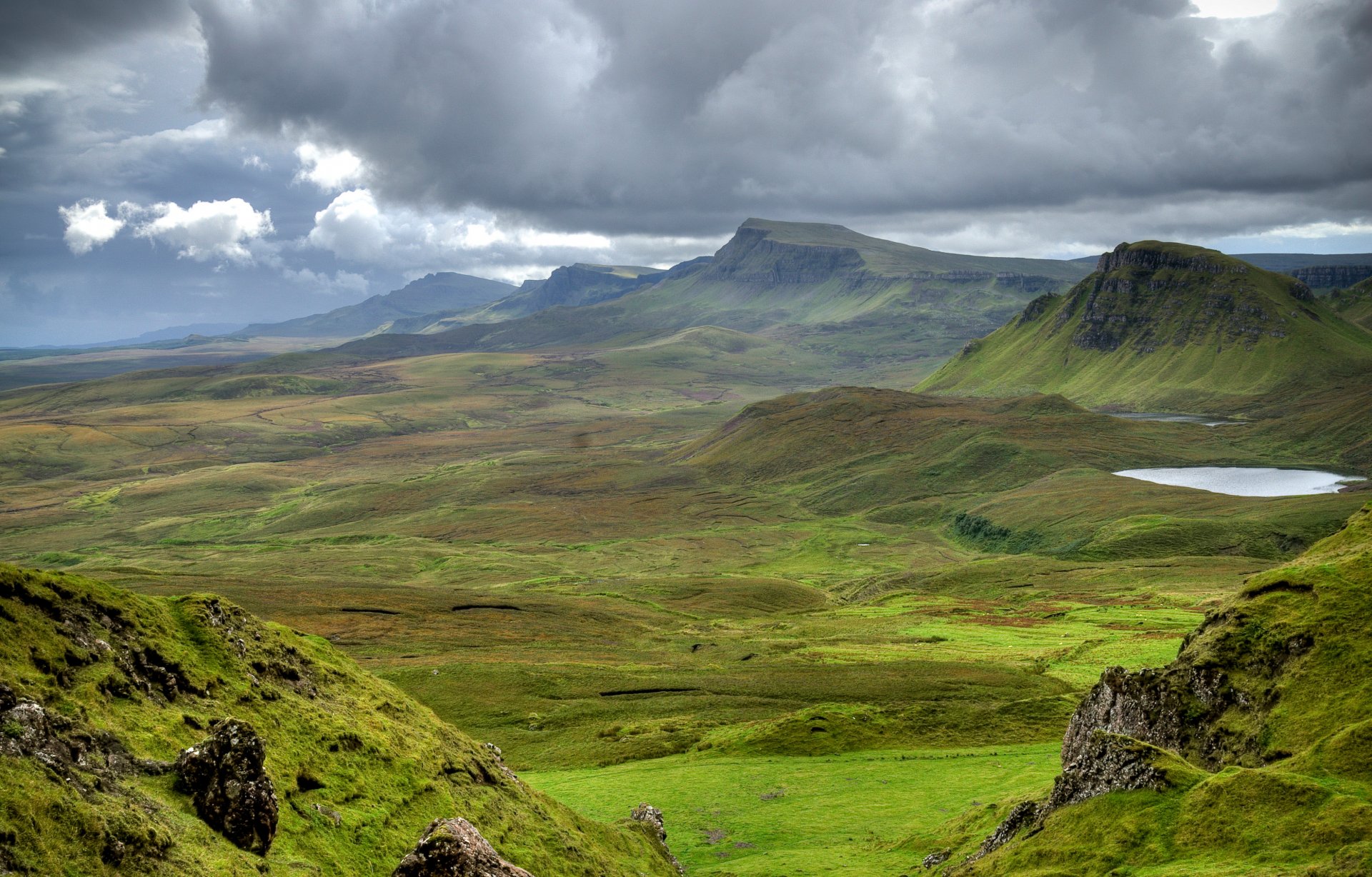 cotland mountain meadow