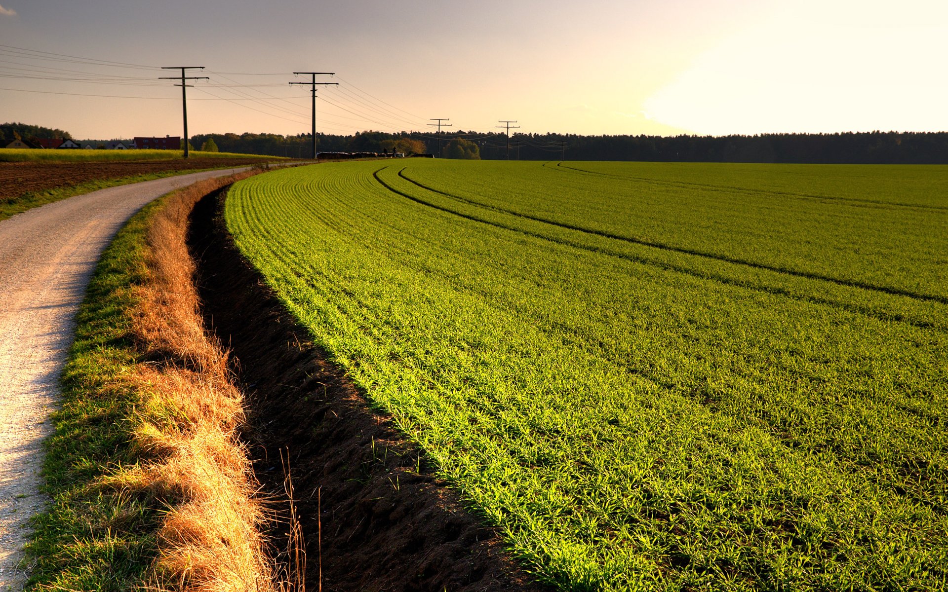 campo strada cielo