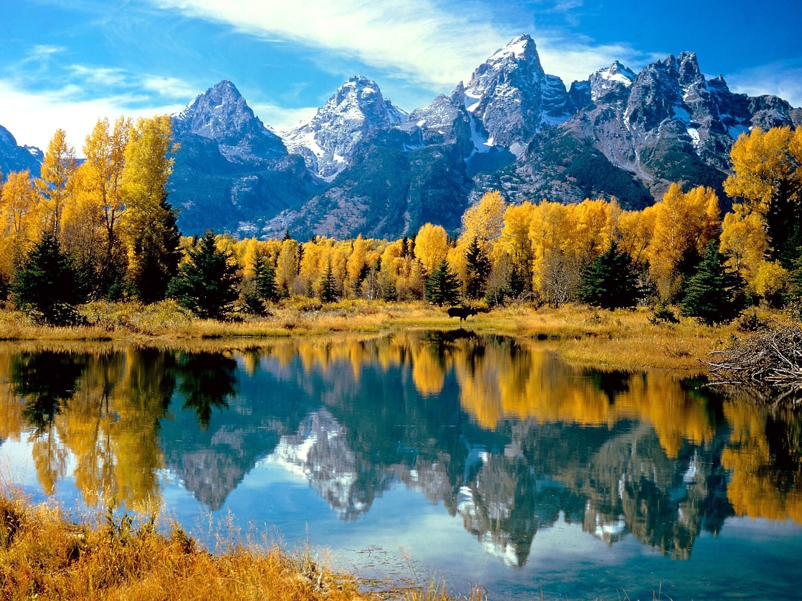 montagnes forêt arbres automne jaune réflexion eau lac