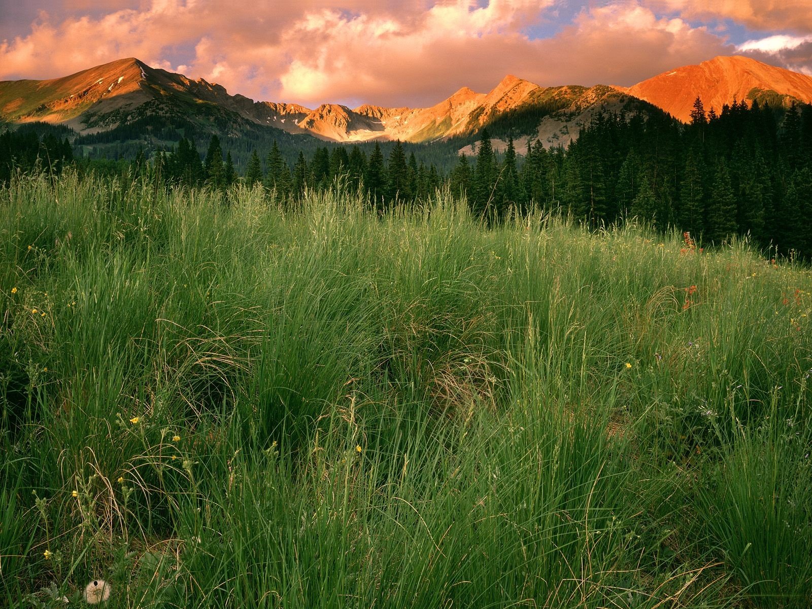 colorado park clouds grass mountain