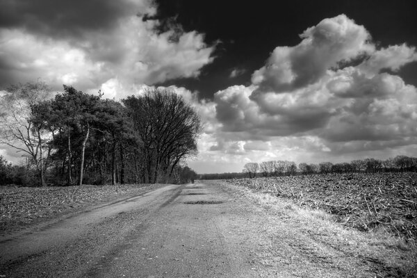 Image en noir et blanc. Route devant le champ