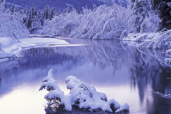 The frozen surface of the river in winter