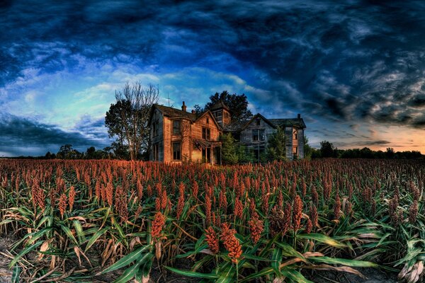 Ruins of an old castle in a field and a stormy sky above it