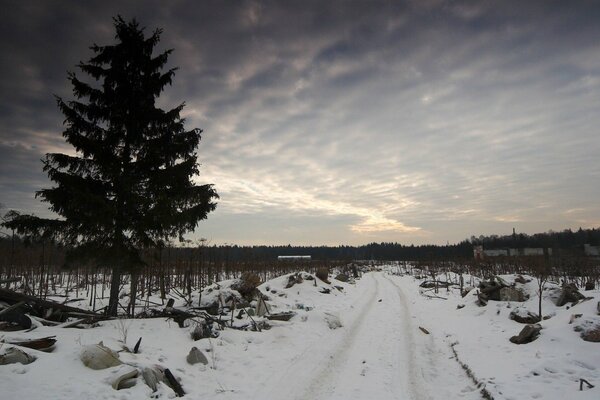 Foto einer leeren Straße im Winter