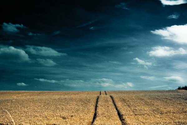 A road track in an endless field