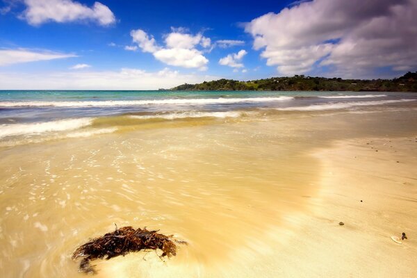 Plage de sable de la mer, ciel bleu avec des nuages