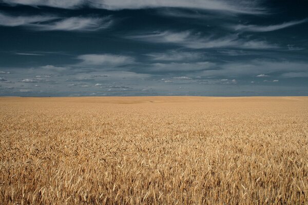 The field was covered with clouds over the sky