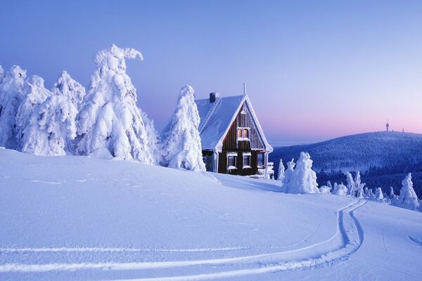 Alberi innevati e una casa accogliente