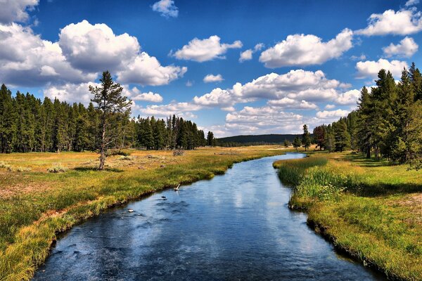 Beautiful river in the middle of the forest on the background of clouds