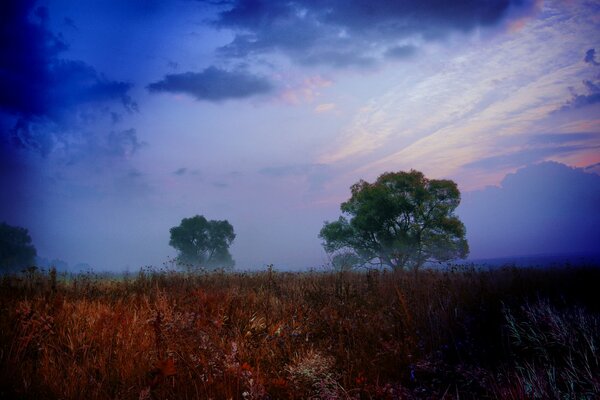 The beauty of nature. Amazing landscape