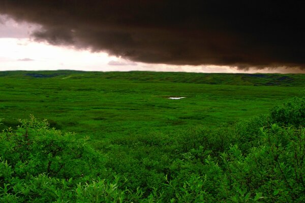 A storm is coming over the cloud field green grass