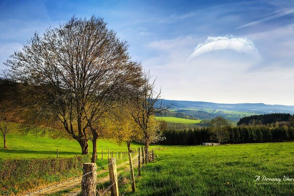 Camino de campo a un mundo de ensueño