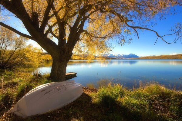 Barco bajo un árbol en otoño junto al lago