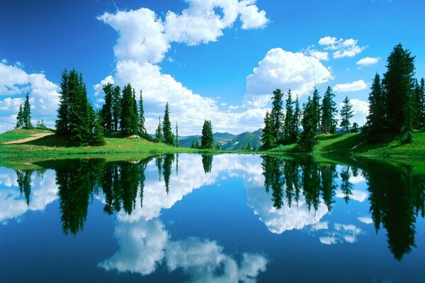 A water surface in which clouds and forest are reflected