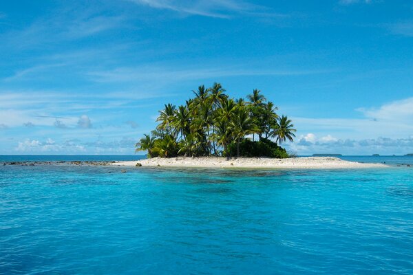 An island in the middle of the sea overgrown with palm trees