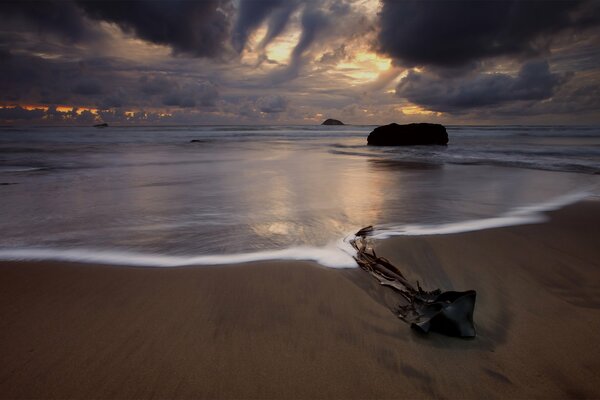 Foto di una spiaggia in Nuova Zelanda sullo sfondo del tramonto
