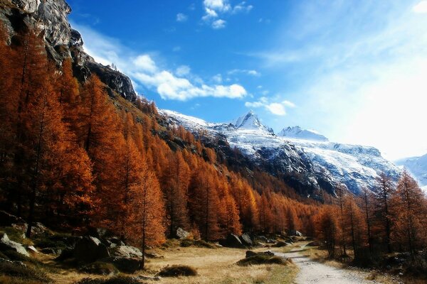 Montañas nevadas y hermoso bosque en el fondo del cielo áspero