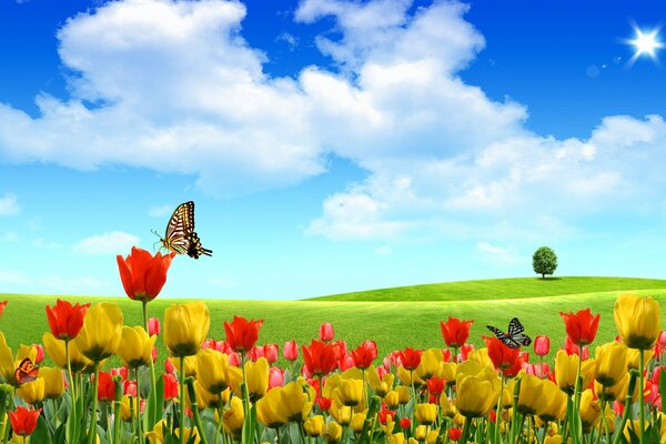 Bright summer background with tulips