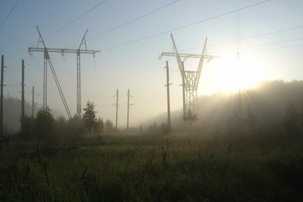 The sun illuminates the grass and power lines