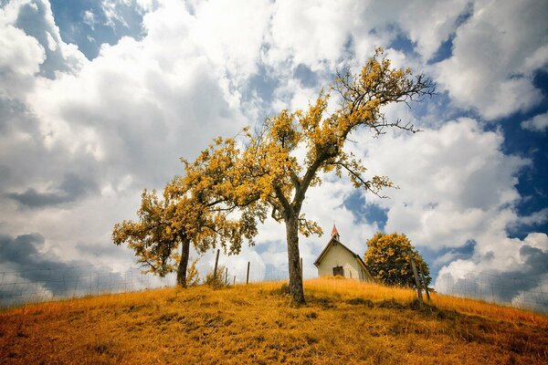 Samotny domek na żółtym polu, drzewa z żółtymi liśćmi na tle nieba z chmurami