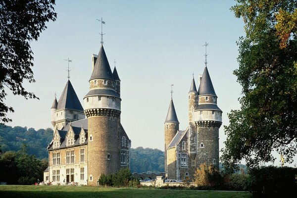 Zabytkowy belgijski Zamek w lesie
