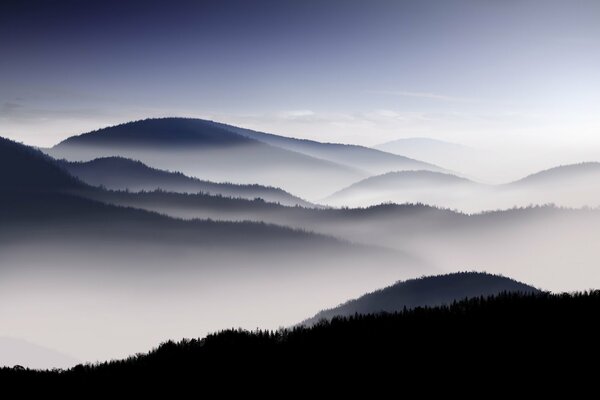Montagnes brumeuses. forêt dans le brouillard. brume sur les montagnes