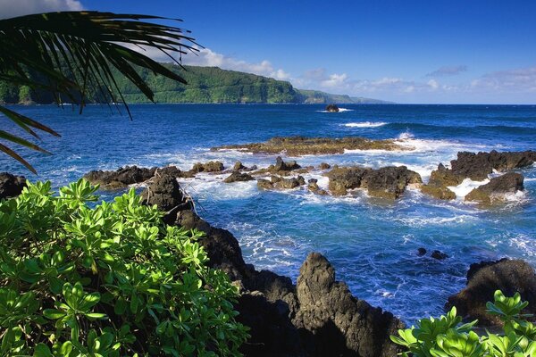 Rocks on the seashore