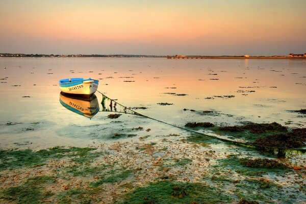 Image of a boat in a lake covered with green mud