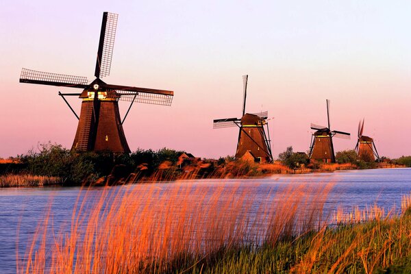 Windmühlen in Holland, hohes Gras