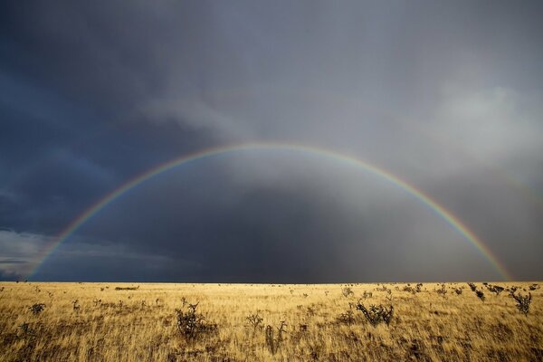 Regenbogen über einem Grasfeld in New Mexico