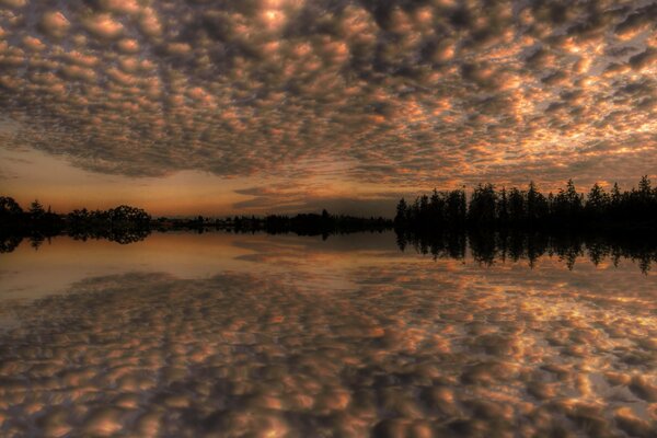 Reflet des arbres et des nuages dans le lac